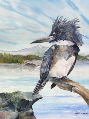 100-249 belted kingfisher
